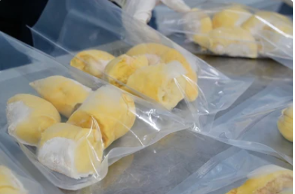 Frozen Durian